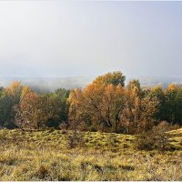 Роминтенская пуща. :: Валерия Комова