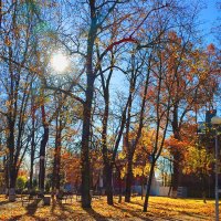 Просто солнце,просто осень... :: Ирина 