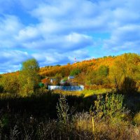 Чебоксары. Лес Волжского лесничества осенью. :: Пётр Чернега Чебоксары. Лес Волжского лесничества осенью. :: Пётр Чернега