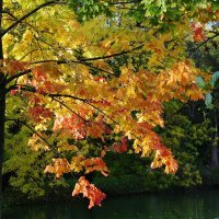 Вечерние зарисовки :: Рита Симонова