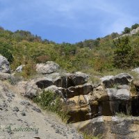 Природа Крыма :: Amazing Cosmea Природа Крыма :: Amazing Cosmea