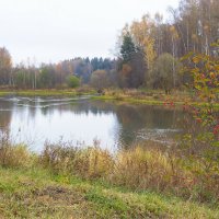 Подмосковные Пейзажи :: юрий поляков