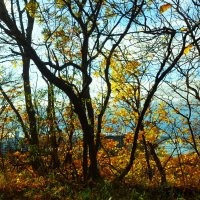 На краю обрыва :: Aida10 