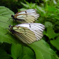 На старте. :: nadyasilyuk Вознюк На старте. :: nadyasilyuk Вознюк