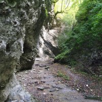 Однажды в Чечне :: Марина Виноградова