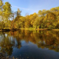 Осень на Радужном пруду :: Наталья Лакомова