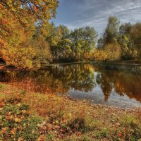 Краски октября :: Наталья Лакомова