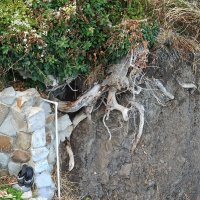 ... пляжный :: Галина 