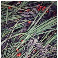 *** :: someone somewere