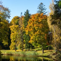 *** :: Геннадий Порохов