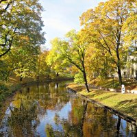 осень :: марта Камушкина