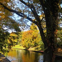 осень :: марта Камушкина