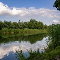 *** :: Николай Гирш