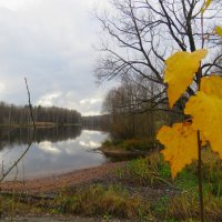 октябрь :: НАТАЛЬЯ 