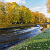 С ветерком! :: Ирина Соловьёва С ветерком! :: Ирина Соловьёва