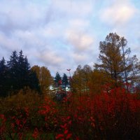 Закат :: Сапсан 