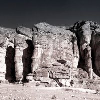 Морда лица :: Виталий Авакян Морда лица :: Виталий Авакян