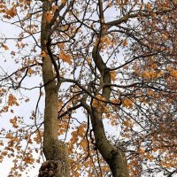 Шлиссельбург :: Наталья Герасимова Шлиссельбург :: Наталья Герасимова