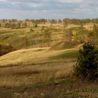 Сибирский простор. :: nadyasilyuk Вознюк