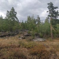 Гранитные валуны :: Андрей Хлопонин