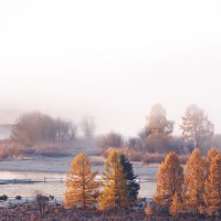 Туман как молоко :: Sergey38 
