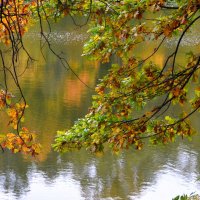 Осень и река.2 :: ирина 