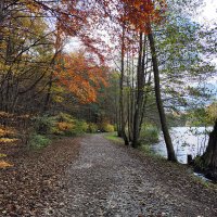 Озеро в лесу.. :: igor G.