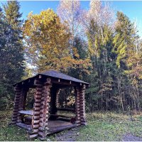 Лесная беседка. :: Валерия Комова Лесная беседка. :: Валерия Комова