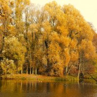 ЖЕЛТАЯ ОСЕНЬ В ПАРКЕ :: Валентина ЖЕЛТАЯ ОСЕНЬ В ПАРКЕ :: Валентина
