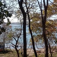 Природа Владивостока :: Елена Семигина Природа Владивостока :: Елена Семигина