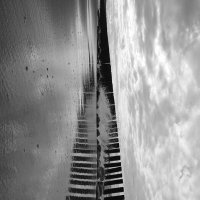 Уходящая ввысь :: Лариса Корж