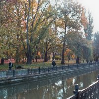 Осень  золотая :: Валентин Семчишин