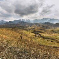 Пастбища пустеют... :: LudMila 