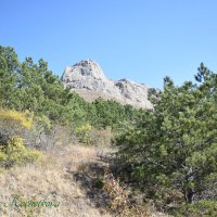 Природа Крыма :: Amazing Cosmea