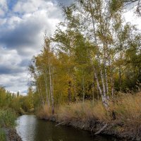 Пасмурный день :: Наталья Димова