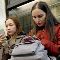 *** :: Владимир Захаров