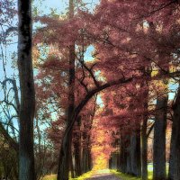 ... :: ВЛАДИМИР 