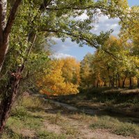 Октябрь :: Олегъ Петрович