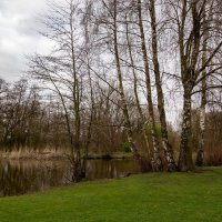 В марте... :: Николай Гирш