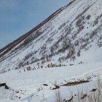 Мамисон. Северная Осетия-Алания. :: Дина Евсеева