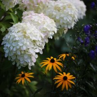 В вечерем свете :: ZNatasha -