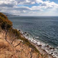 Красота :: Oleg S