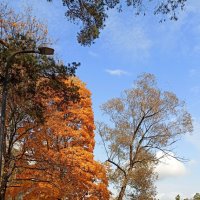 "Утра час златой" :: veilins veilins "Утра час златой" :: veilins veilins