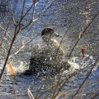 Автомойка...... :: Анатолий Анищик