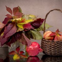 Осенние листья и фрукты :: Людмила Павловна Крышковец