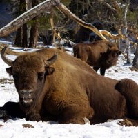 Из жизни отдыхающих ... :: Андрей Любимов