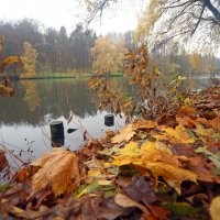 Царицыно 22 октября :: Михаил Бибичков