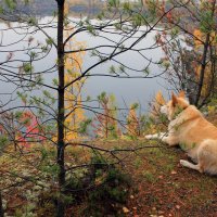 Край родной, навек любимый :: Vadm Slutsky