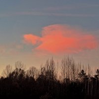 Ангел. :: Юрий 