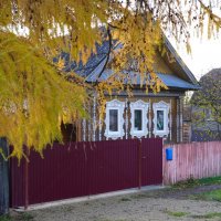 Дом с деревянной резьбой :: Сергей Ц